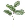 Rama artificial de Calathea Orbifolia ALNIYAT, verde-blanco, 75cm