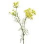 Rama de flor de eneldo artificial ALRESCHA con flores, amarillo, 85cm