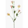 Lisianthus de imitación PAZAN, rosa-crema, 70cm