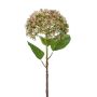 Capullo de hortensia de plástico MIRTHA, rosa, 55cm