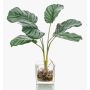 Calathea Orbifolia artificial AGINA en maceta de cristal, verde-blanco, 35cm