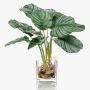 Calathea Orbifolia artificial AGINA en maceta de cristal, verde-blanco, 40cm