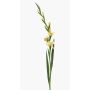 Gladiolo artificial AJNUR, amarillo, 125cm
