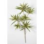 Planta artificial Dracaena Reflexa Jamaica Rama MAYRA, difícilmente inflamable, verde-amarillo, 70 cm
