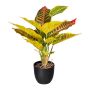 Planta artificial Croton VILHAN, maceta decorativa, raíces, multicolor, 35 cm