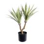 Suculenta artificial Agave furcraea gigantea ZIFTE, tronco artificial, verde, 60 cm