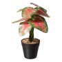 Planta artificial Caladium WEHNDAS, maceta decorativa, verde-rojo, 30 cm