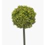 Allium artificial TUXLON, verde, 75 cm