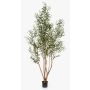 Olivo artificial JALO con frutos, tronco real, verde, 220 cm