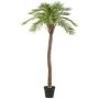 Palmera artificial Macauba HADLEY, maceta decorativa, 235 cm