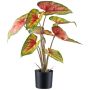 Planta artificial Caladium STAHER, raíces, rojo-verde, 55 cm
