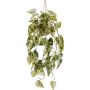 Colgante decorativo Syngonium en cesta colgante ZULHER, verde y blanco, 80 cm