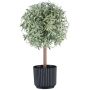 Planta decorativa romero de tallo alto WINDAR, congelada, maceta decorativa, verde-blanco, 26 cm