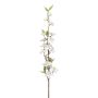 Rama decorativa de flores de manzano KROVER con flores, blanca, 80 cm