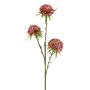 Rama artificial allium GLORF, rosa, 60 cm