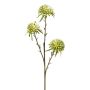 Rama artificial allium GLORF, verde-blanco, 60 cm