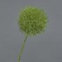 Flor artificial Allium GLORF, verde, 75 cm