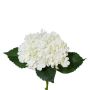 Flor artificial de hortensia ZURTO, blanca, 55 cm