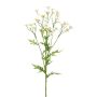 Rama decorativa de manzanilla GRUHEL, blanca, 60 cm