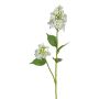 Rama decorativa de hortensia GRONVEL, blanca, 65 cm