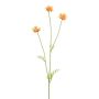 Rama decorativa de cosmos ZALVON, naranja, 60 cm