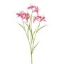 Rama artificial de lirio PLOMIX, rosa oscuro, fucsia-blanco, 65cm, Ø8cm