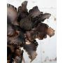 Clematis artificial CLEMENTINA, marrón, 85cm, Ø30cm