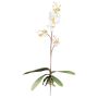 Orquídea artificial Phalaenopsis MALZA, varilla, raíces, crema, 55cm