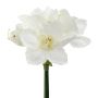 Flor artificial amarilis WELBA, blanca, 65 cm