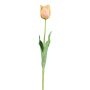 Flor artificial tulipán SOLAL, albaricoque, 65 cm