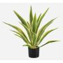 Agave americana artificial ZURNAL en maceta decorativa, crossdoor, verde-amarillo, 70 cm