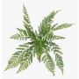 Planta artificial helecho culantrillo STIGOR en varilla, crossdoor, verde, 55 cm