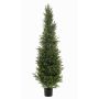 Cedro artificial ZARGEN, crossdoor, verde, 150 cm