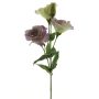 Lisianthus artificial ALARONA, lila-verde, 55 cm