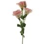 Lisianthus falso ALARONA, rosa crema, 55 cm