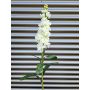 Flor artificial Levkoje BARIADE, blanco crema, 85 cm