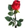 Rosa artificial SUNJIK, rojo, 75 cm