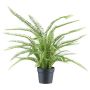 Planta decorativa helecho espada ZINTO, maceta decorativa, verde, 70 cm