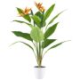 Flor artificial Strelitzie VELKORN en maceta decorativa, naranja-violeta, 80 cm