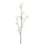 Rama decorativa Deutzia FRINTE, rosa y blanco, 85 cm