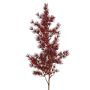 Rama artificial de espárrago umbellatus DIKERNO, rojo burdeos, 75 cm