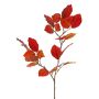 Rama decorativa de haya LOPERDY, rojo-naranja, 70 cm