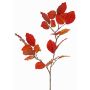 Rama decorativa de haya LOPERDY, rojo-naranja, 70cm