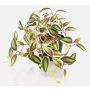 Planta artificial Tradescantia zebrina DIHALLO en maceta decorativa, verde-roja, 19 cm