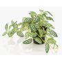 Planta artificial de pimienta enana MIHALLA en maceta decorativa, verde y blanca, 19 cm