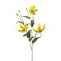 Rama decorativa Gloriosa TROFEL, amarillo-verde, 90 cm