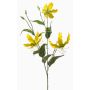 Rama decorativa Gloriosa TROFEL, amarillo-verde, 90 cm