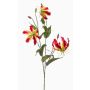 Rama decorativa Gloriosa TROFEL, rosa-amarilla, 90 cm