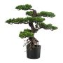 Árbol artificial bonsái de té KEFIEL con raíces, 65 cm