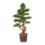Árbol decorativo bonsái alerce WOME en maceta de magnesio, 125 cm